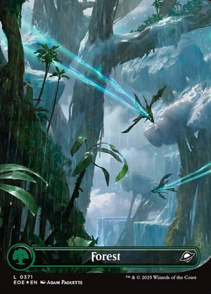 Forest