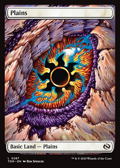 Plains — NM [Tarkir: Dragonstorm]